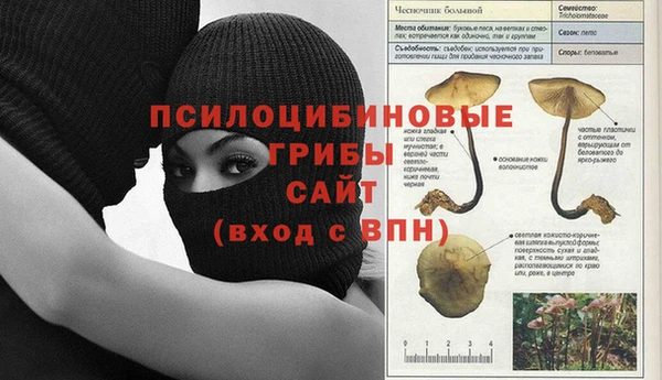 PSILOCYBIN Белоозёрский