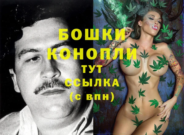 метадон Белокуриха