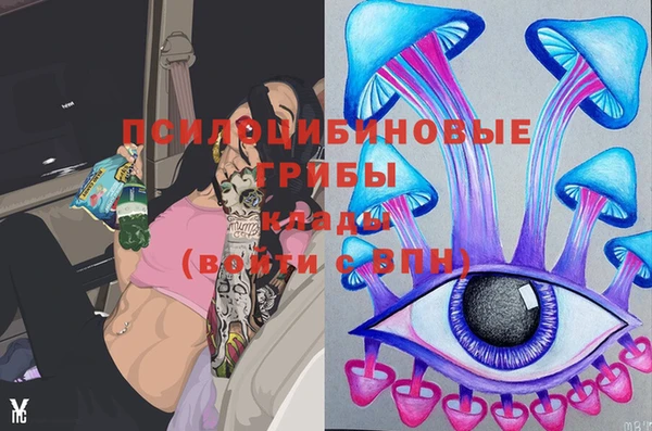 PSILOCYBIN Белоозёрский