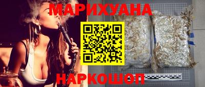сатива Гатчина