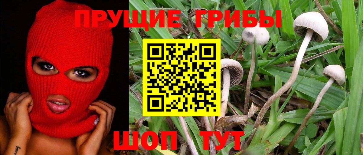 Галлюциногенные грибы Magic Shrooms Воркута