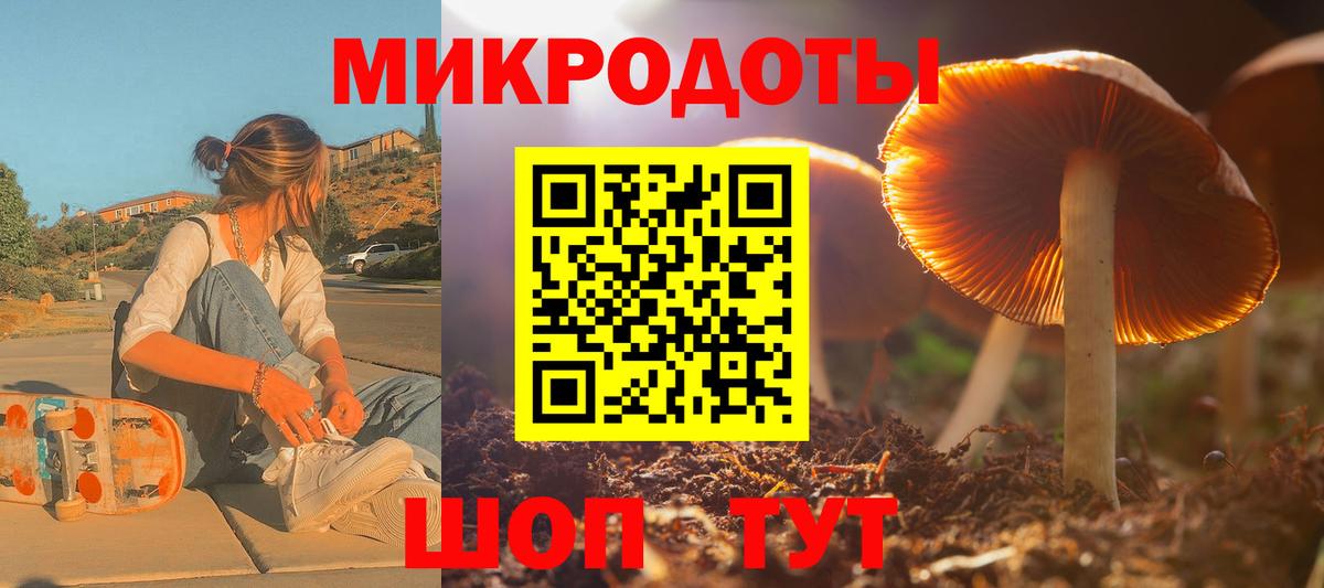 Галлюциногенные грибы Psilocybe  Воркута 
