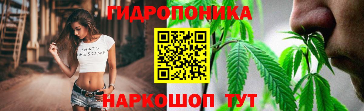 Марихуана индика  Каннабис Bruce Banner  Вход с VPN  МАРИХУАНА индика  Воркута 